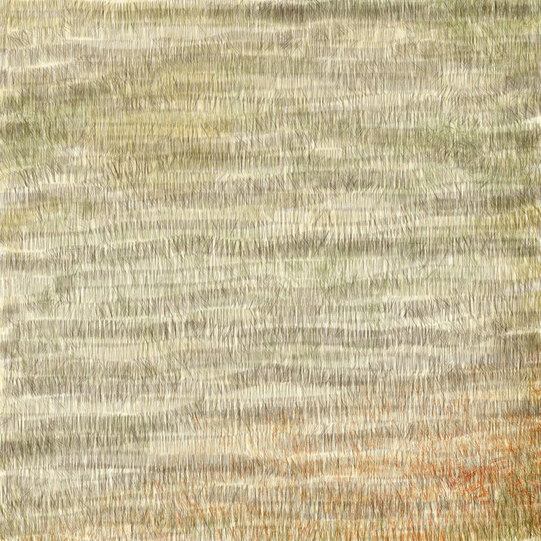 elegy-Jennifer-Martelli